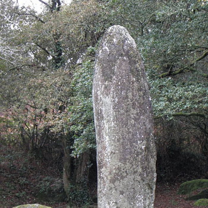 Photo de Menhir de Kerampeulven à Berrien