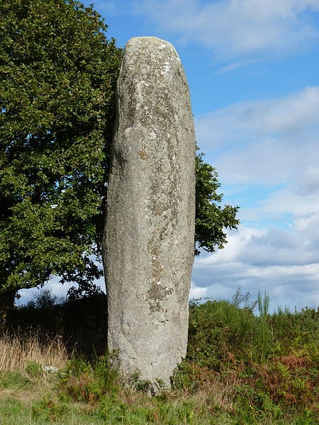 Photo de Menhir de Kergornec 1 et 2 à Saint-Gilles-Pligeaux