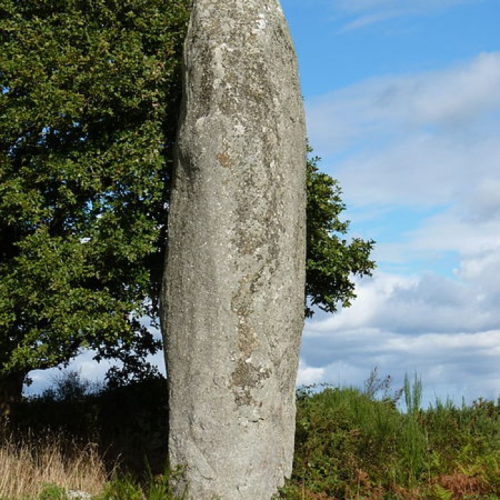 Photo de Menhir de Kergornec 1 et 2 à Saint-Gilles-Pligeaux