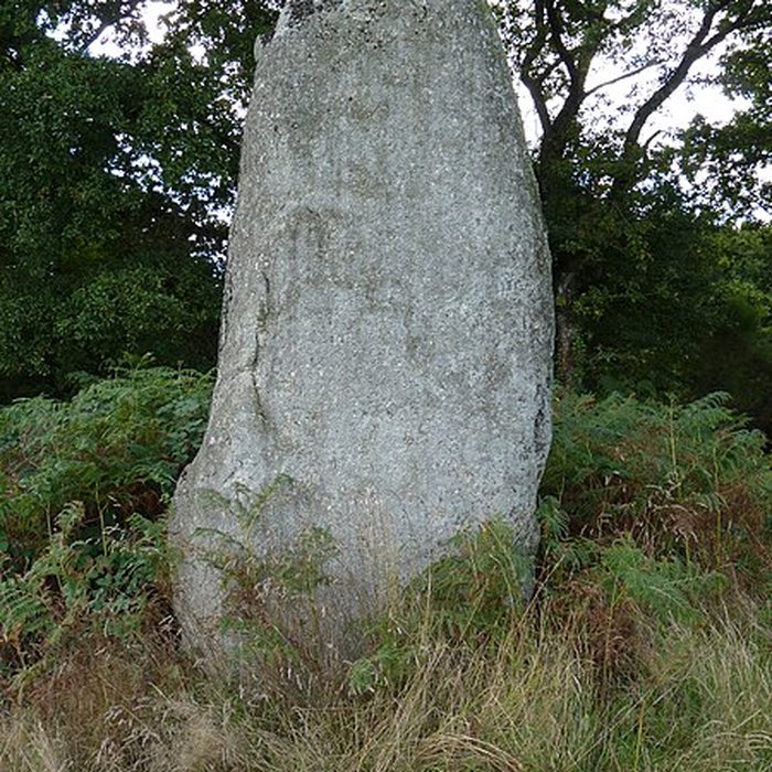 Photo de Menhir de Kergornec 1 et 2 à Saint-Gilles-Pligeaux