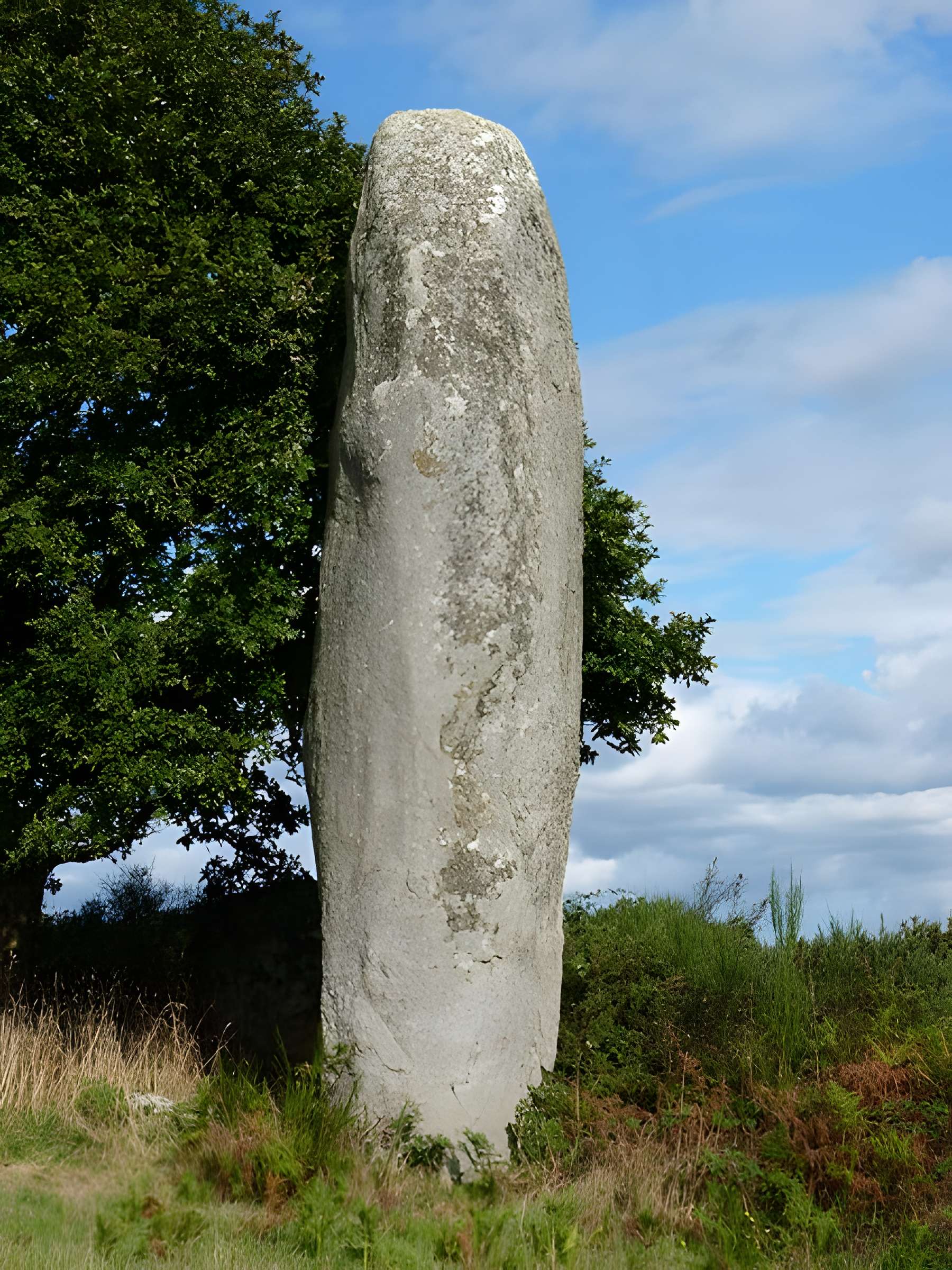 Menhir de Kergornec 1 et 2 à Saint-Gilles-Pligeaux 