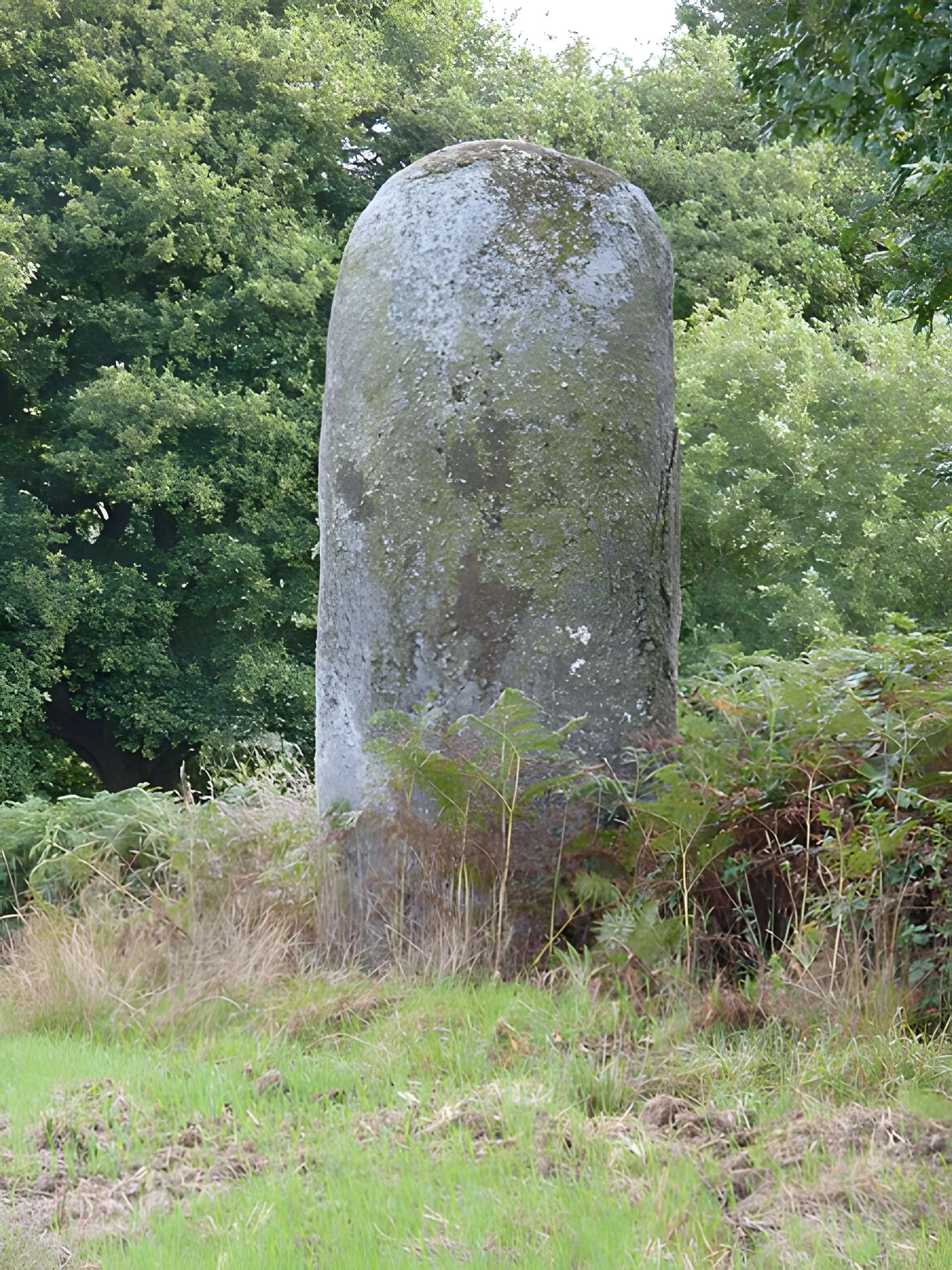 Menhir de Kergornec 1 et 2 à Saint-Gilles-Pligeaux