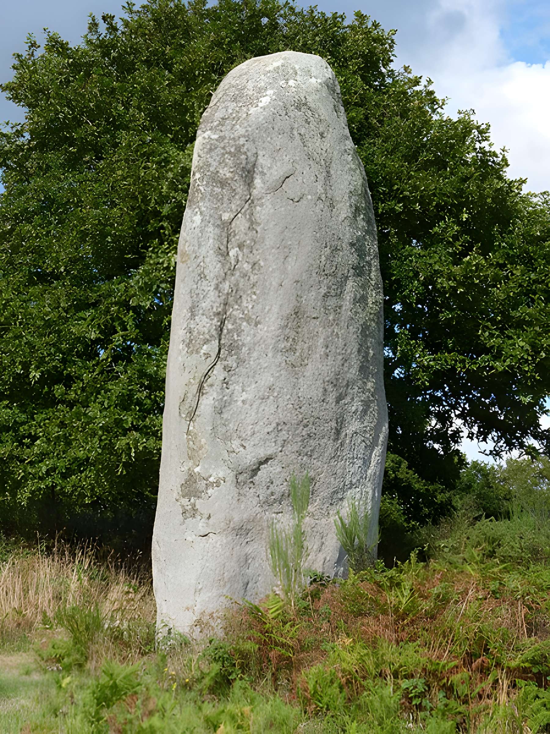 Menhir de Kergornec 1 et 2 à Saint-Gilles-Pligeaux