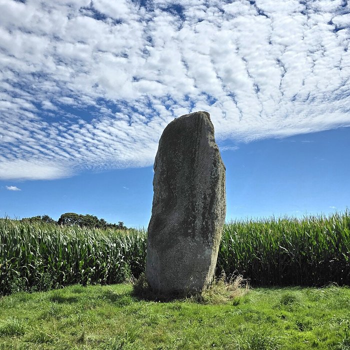 Photo de Menhir de Kerguézennec à Bégard