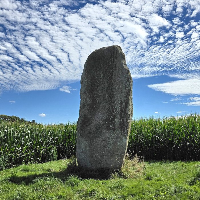 Photo de Menhir de Kerguézennec à Bégard