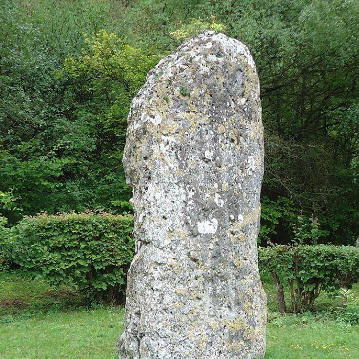 Photo de Menhir de la Basse Crémonville à Val-de-Reuil