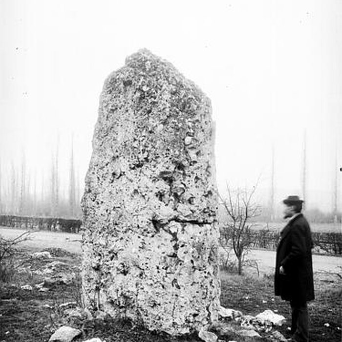 Photo de Menhir de la Basse Crémonville à Val-de-Reuil