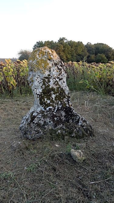 Photo de Menhir de la Grande Pierre d'Averdon