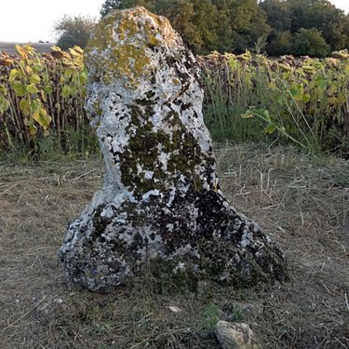 Photo de Menhir de la Grande Pierre dAverdon