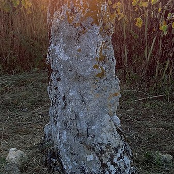 Photo de Menhir de la Grande Pierre dAverdon