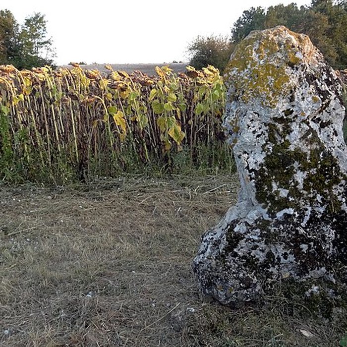 Photo de Menhir de la Grande Pierre dAverdon