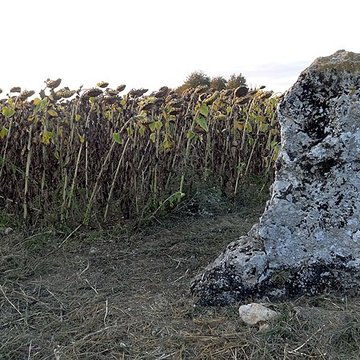Menhir de la Grande Pierre dAverdon