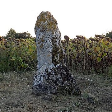 Menhir de la Grande Pierre dAverdon