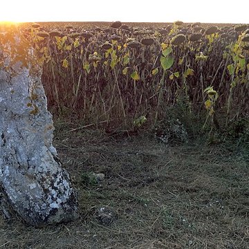 Menhir de la Grande Pierre dAverdon