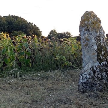 Menhir de la Grande Pierre dAverdon