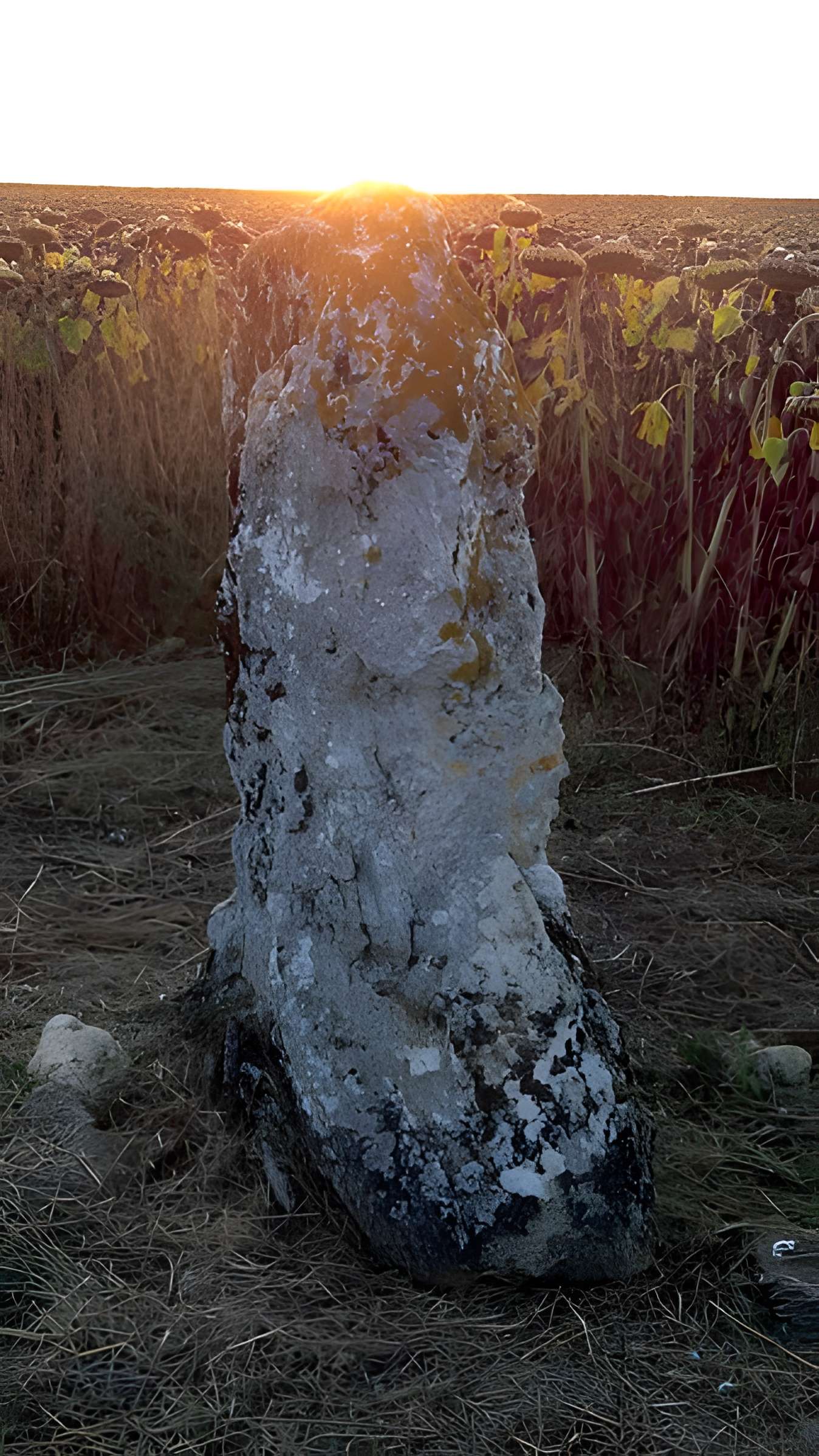 Menhir de la Grande Pierre d'Averdon