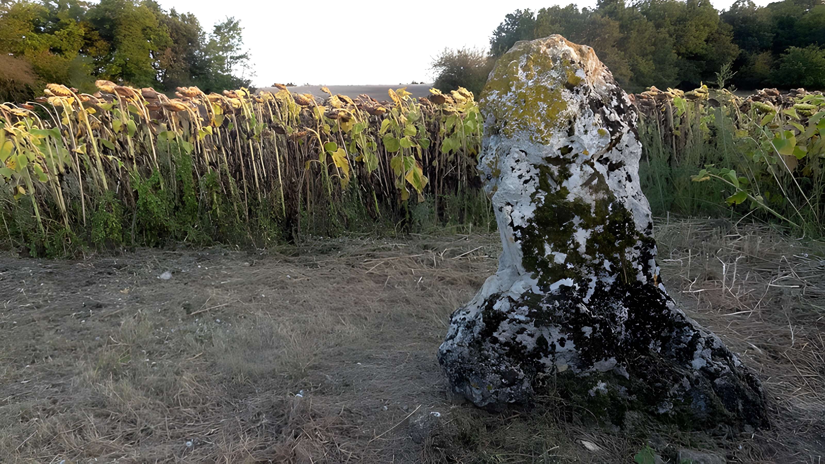 Menhir de la Grande Pierre d'Averdon