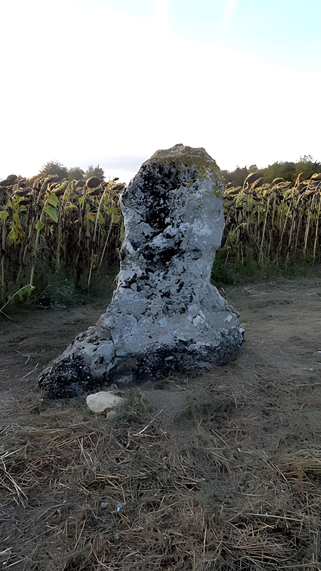 Menhir de la Grande Pierre d'Averdon