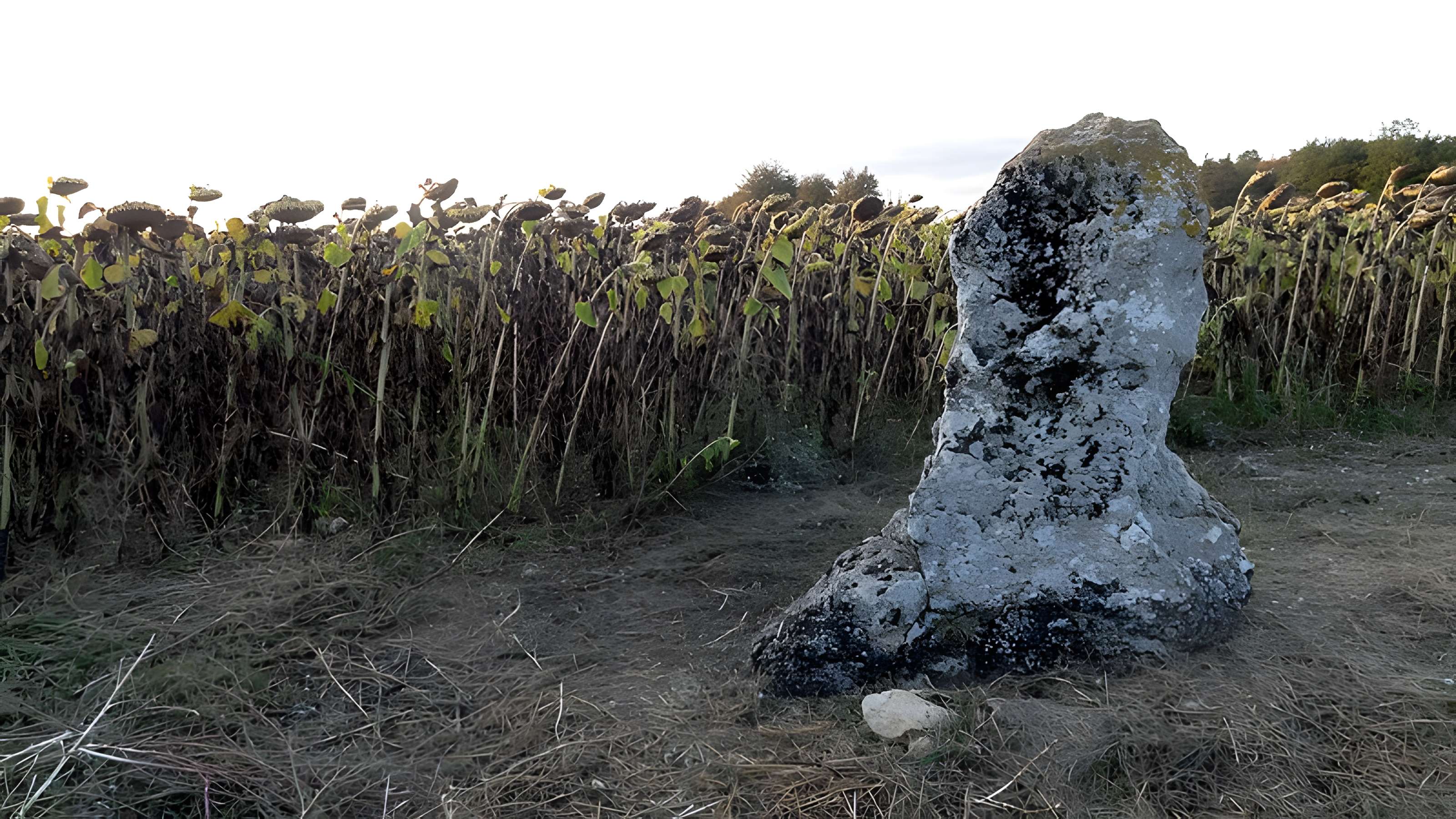 Menhir de la Grande Pierre d'Averdon