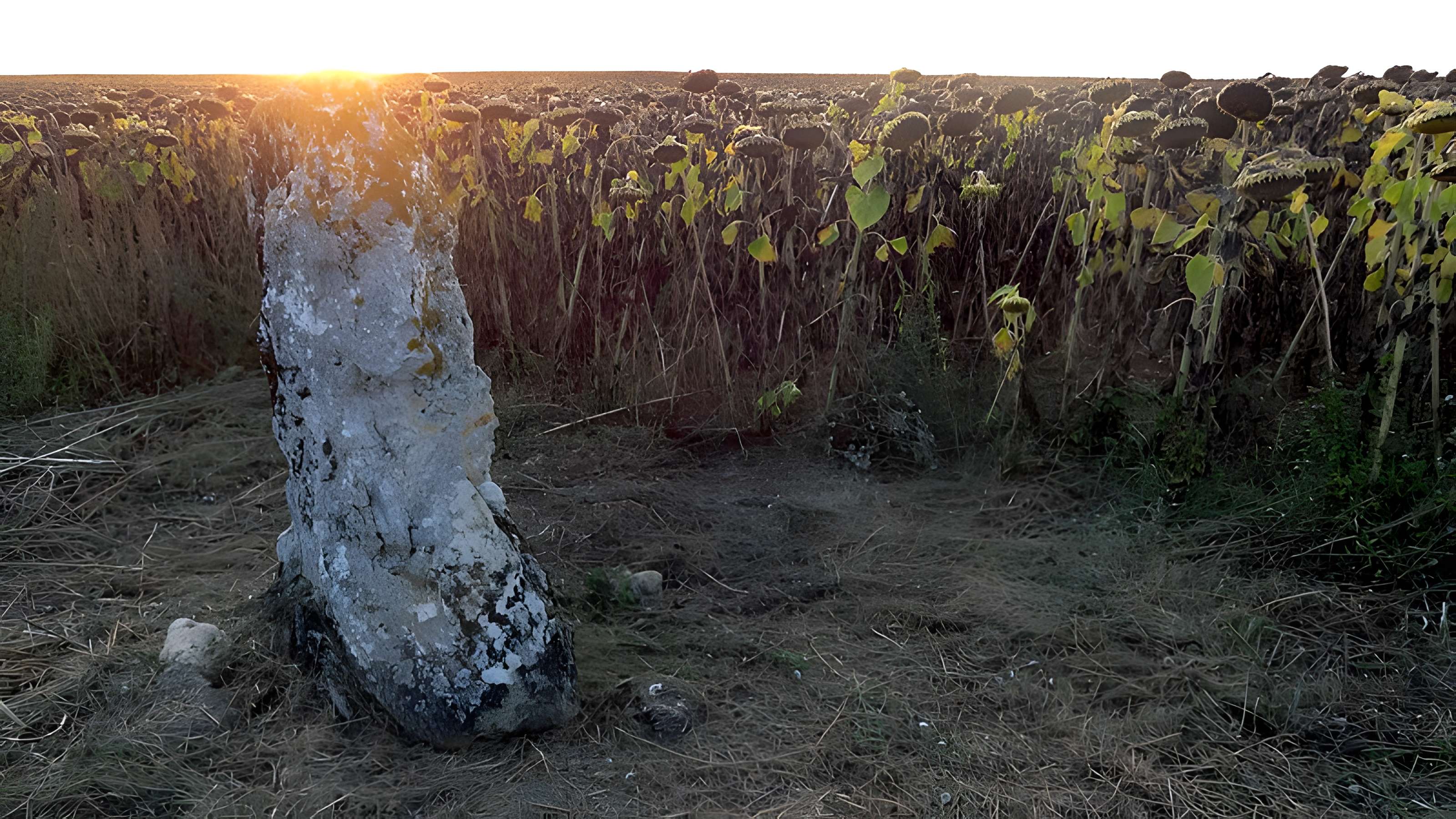 Menhir de la Grande Pierre d'Averdon