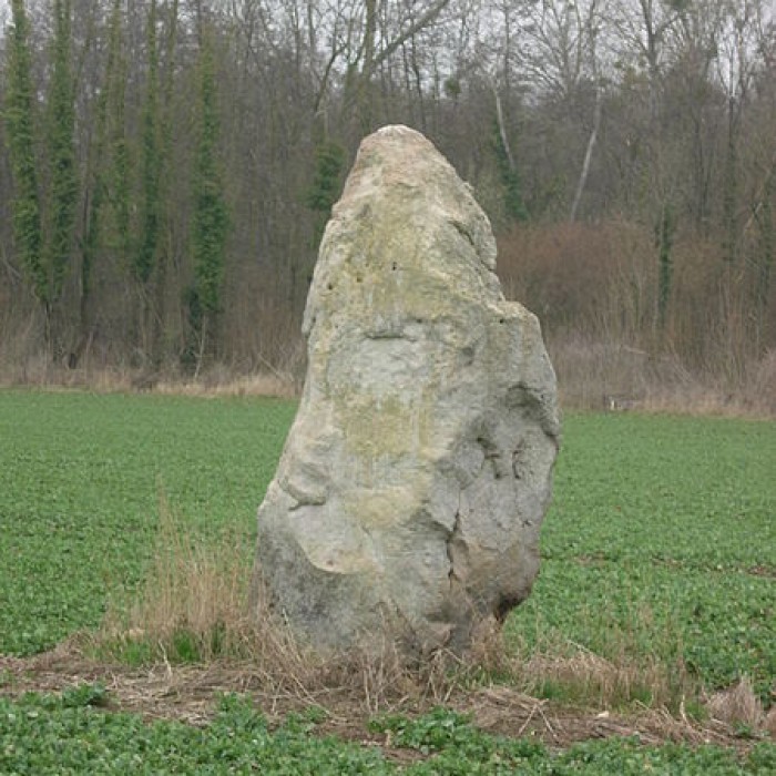 Photo de Menhir de la Grande-Pierre à Saint-Aubin