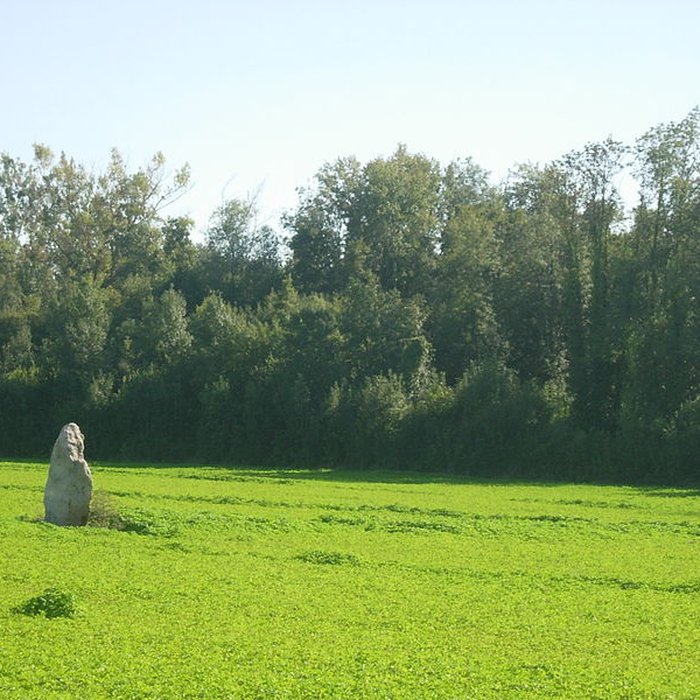 Photo de Menhir de la Grande-Pierre à Saint-Aubin