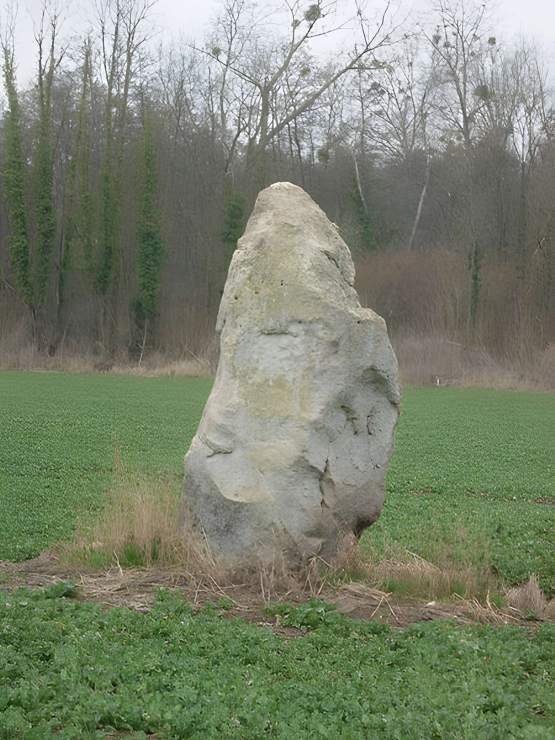 Menhir de la Grande-Pierre à Saint-Aubin 