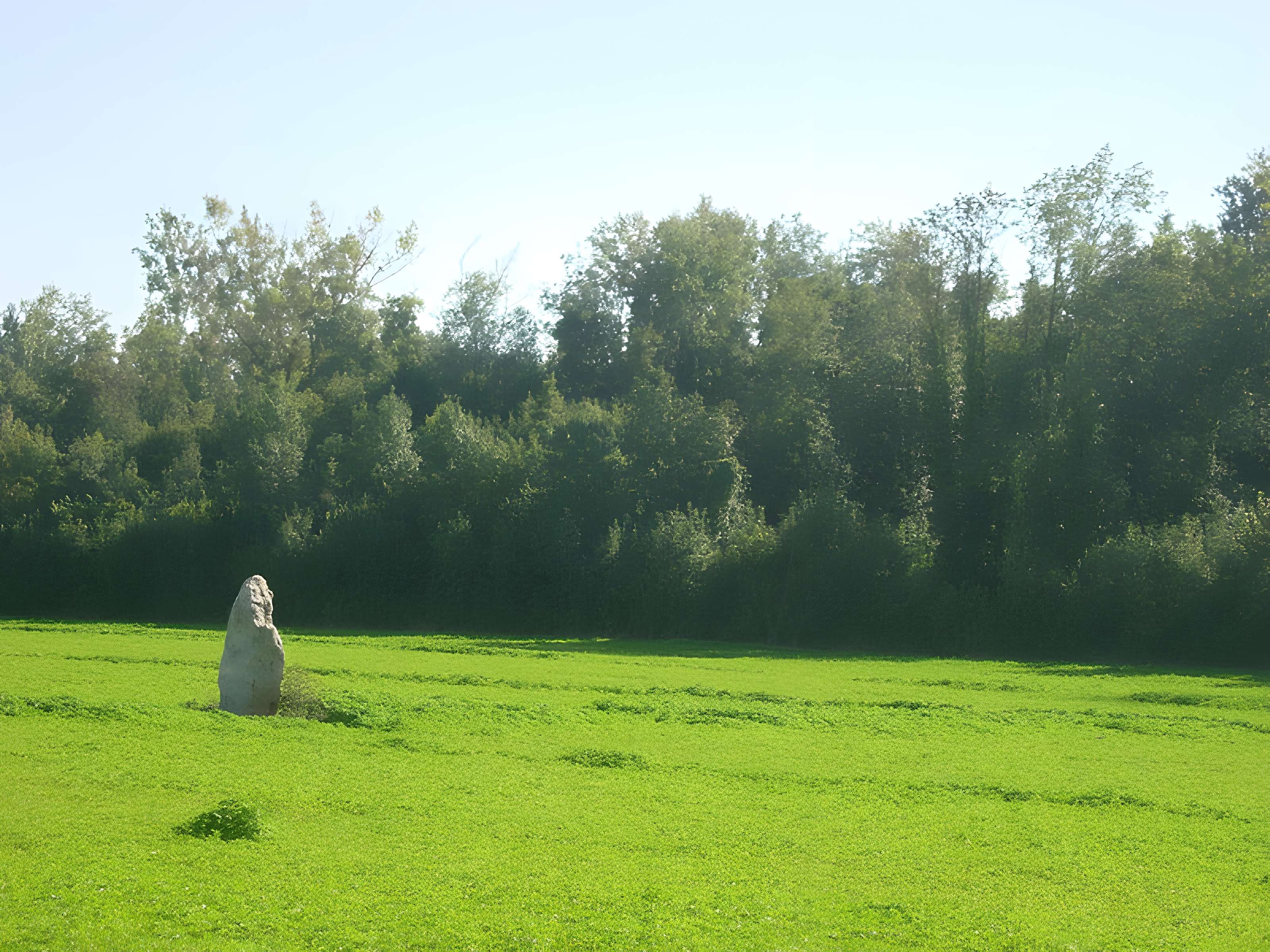 Menhir de la Grande-Pierre à Saint-Aubin