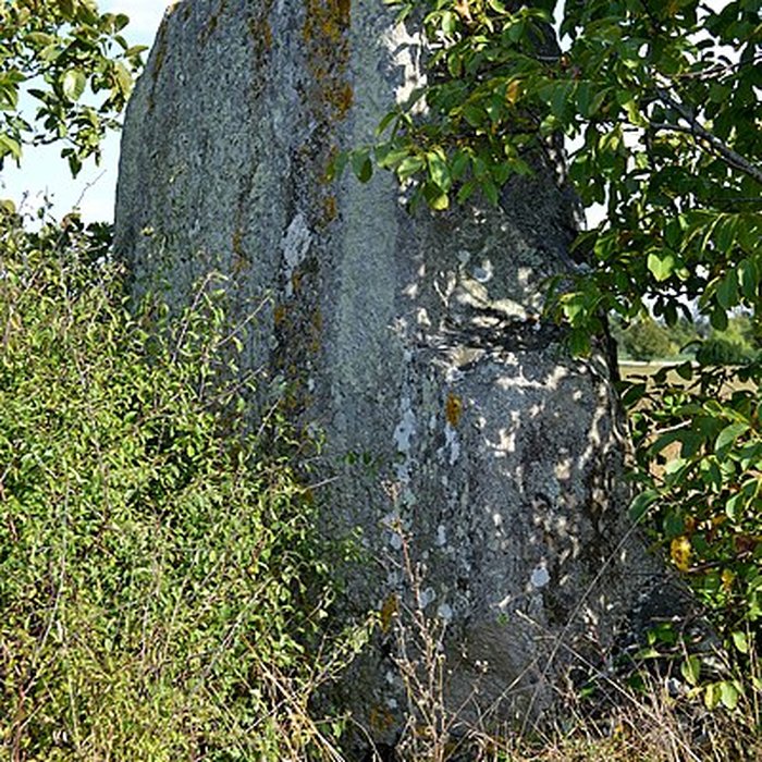 Photo de Menhir de la Grouas à Martigné-Briand