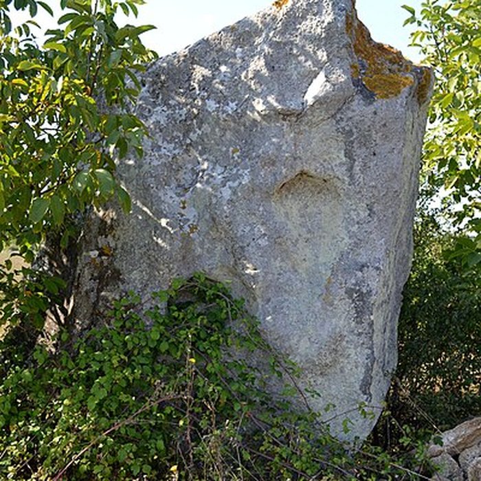 Photo de Menhir de la Grouas à Martigné-Briand
