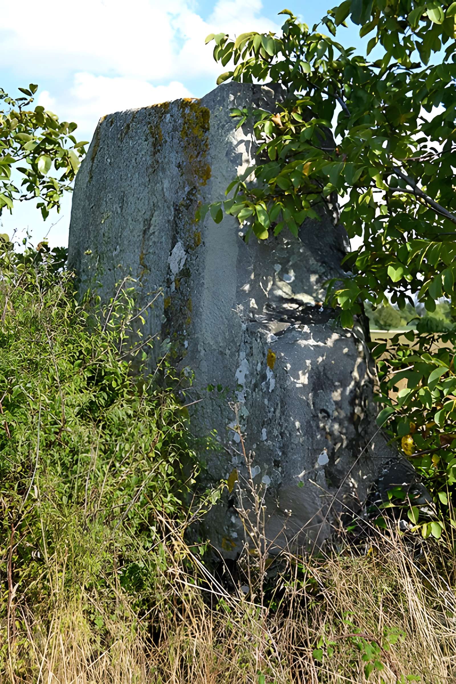 Menhir de la Grouas à Martigné-Briand