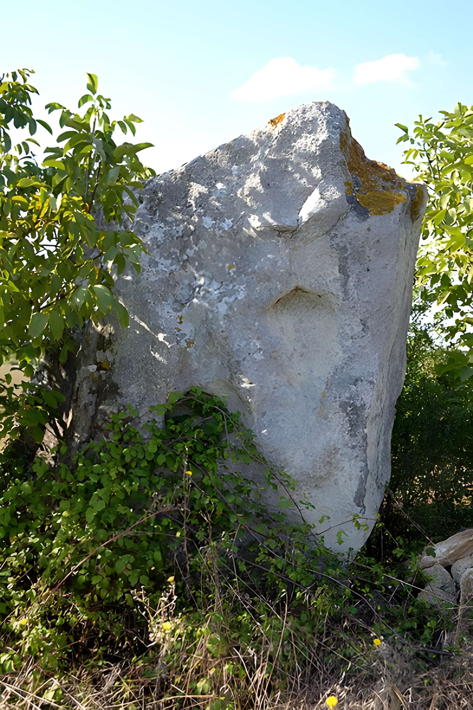 Menhir de la Grouas à Martigné-Briand
