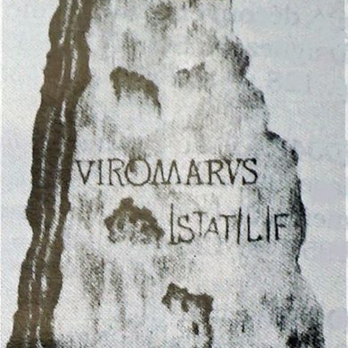 Photo de Menhir de la Haute-Borne à Fontaines-sur-Marne