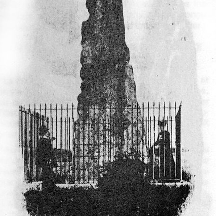 Photo de Menhir de la Haute-Borne à Fontaines-sur-Marne