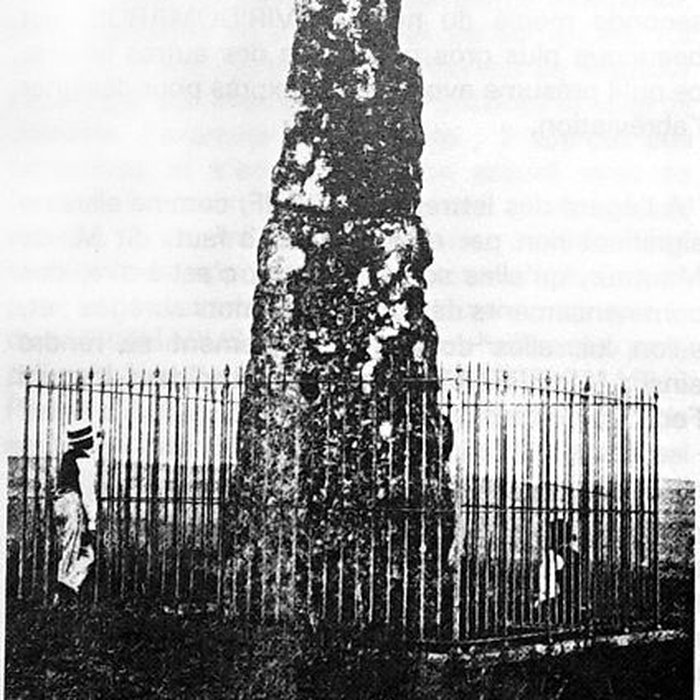 Photo de Menhir de la Haute-Borne à Fontaines-sur-Marne