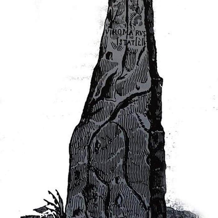 Photo de Menhir de la Haute-Borne à Fontaines-sur-Marne