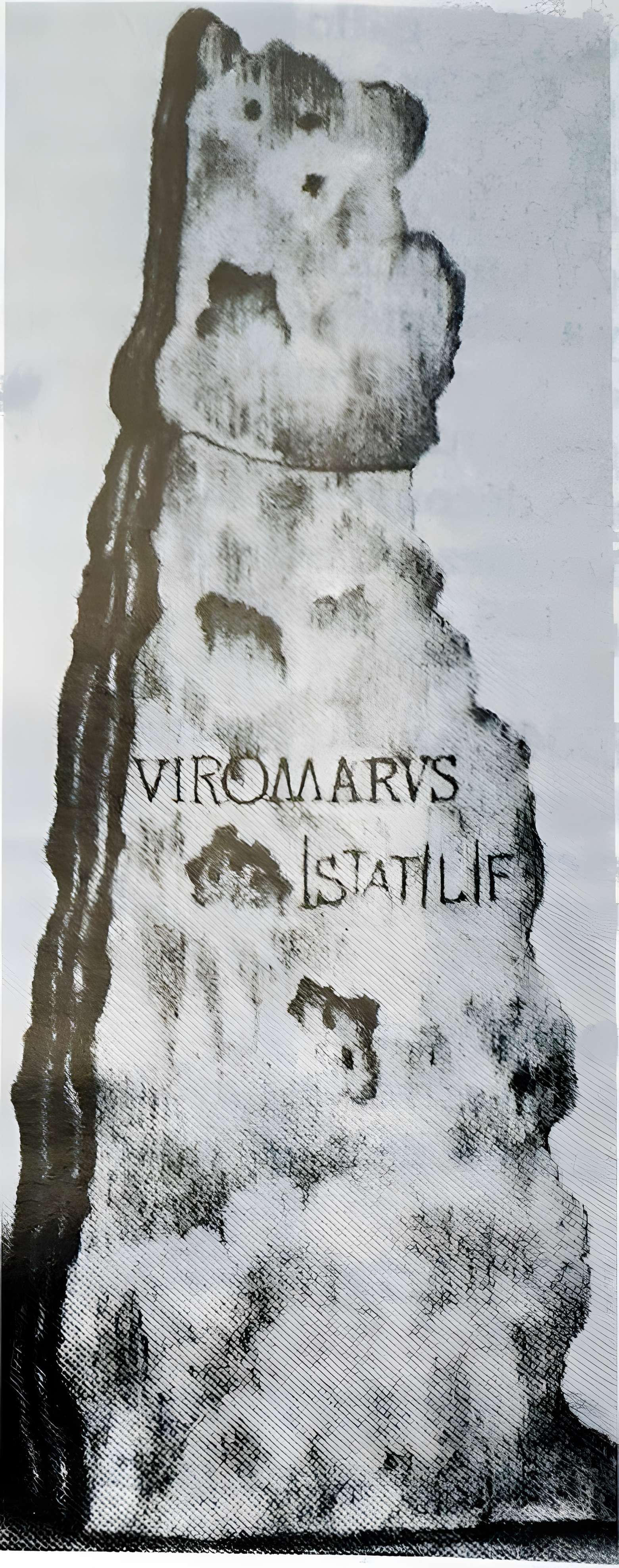 Menhir de la Haute-Borne à Fontaines-sur-Marne 