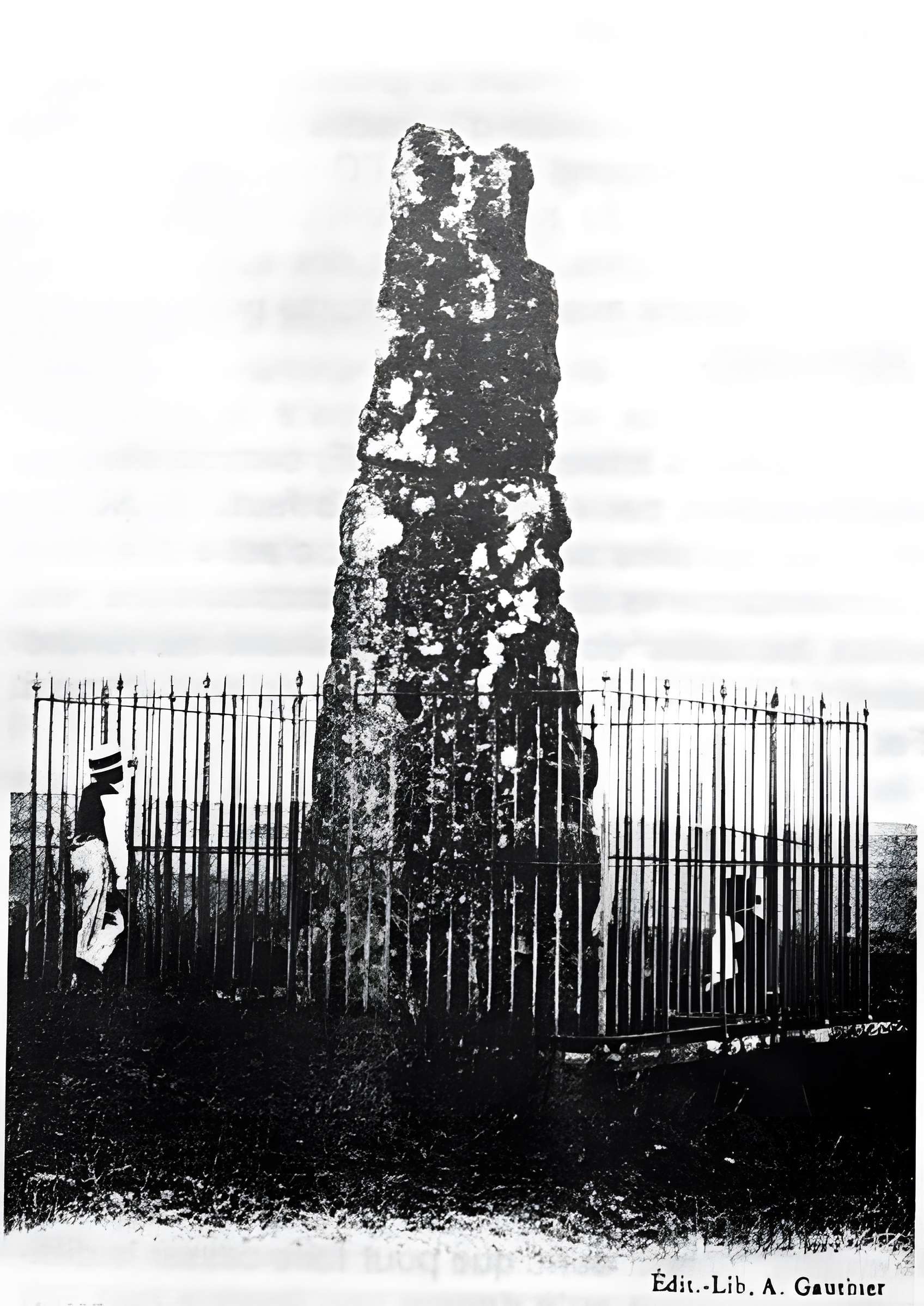 Menhir de la Haute-Borne à Fontaines-sur-Marne