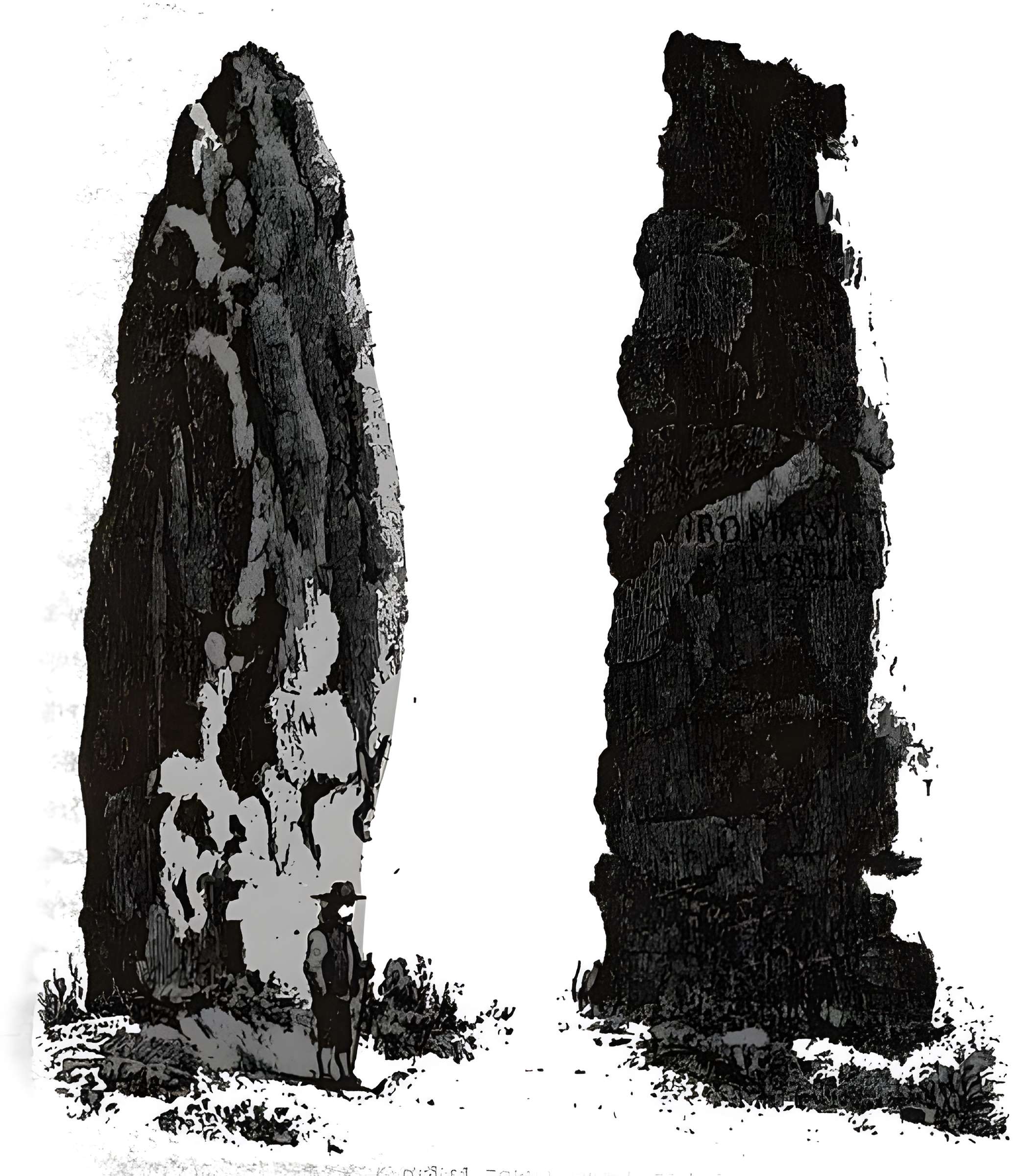 Menhir de la Haute-Borne à Fontaines-sur-Marne