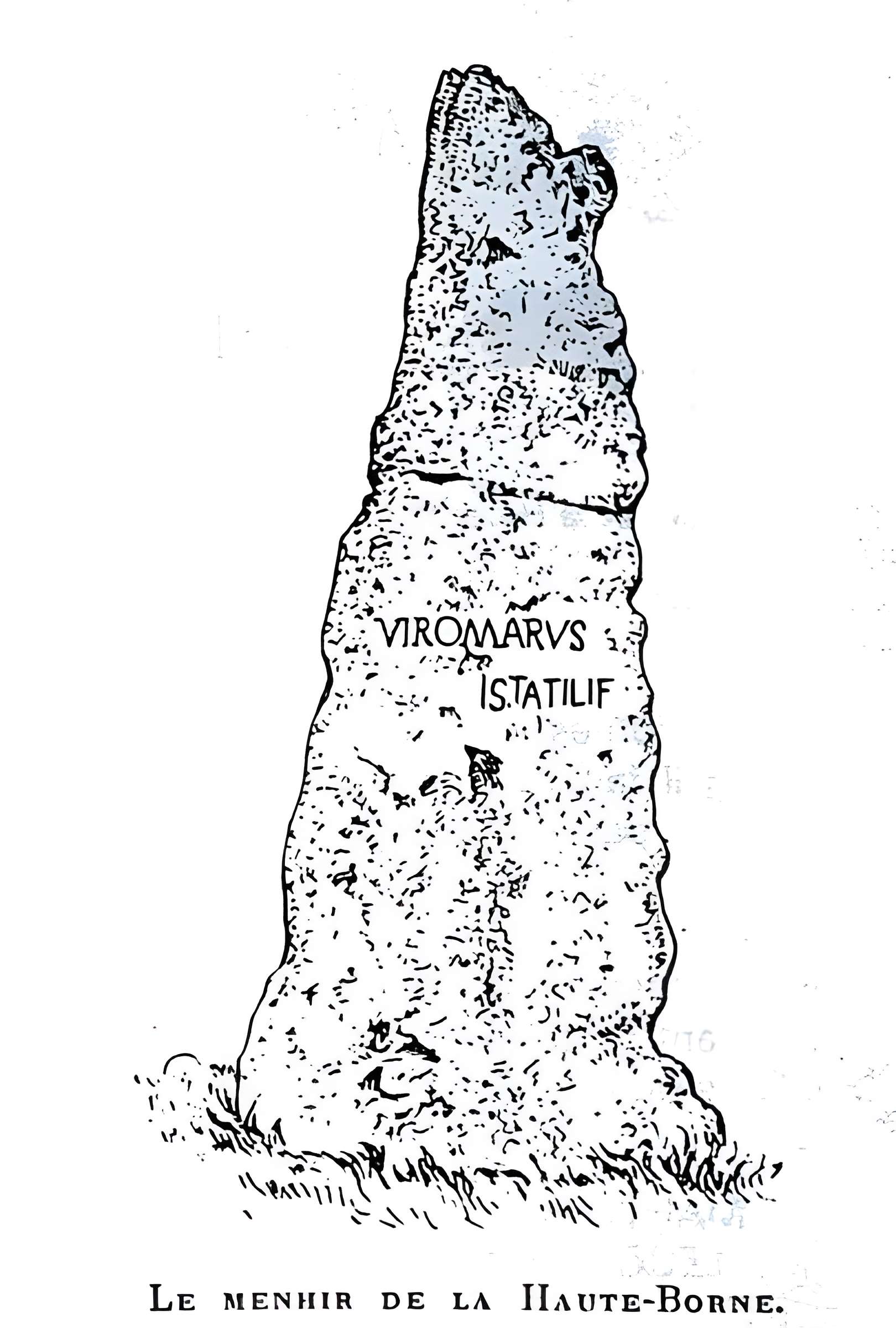 Menhir de la Haute-Borne à Fontaines-sur-Marne