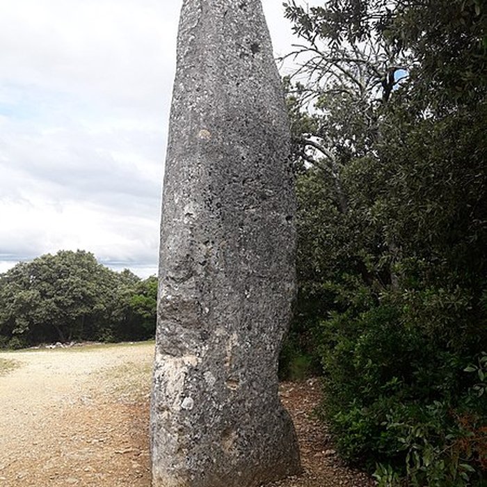 Photo de Menhir de la Lèque à Lussan