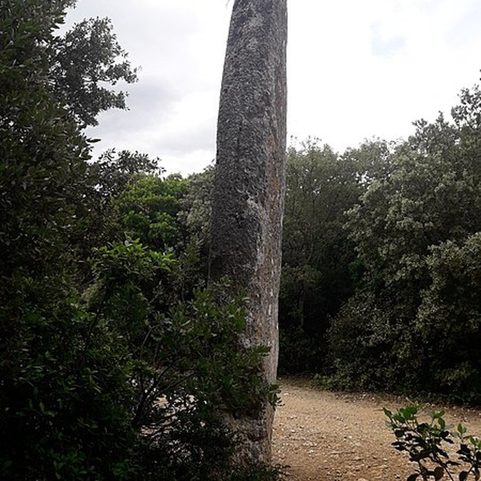 Photo de Menhir de la Lèque à Lussan