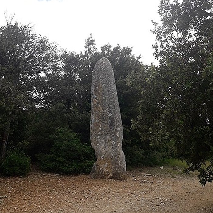 Photo de Menhir de la Lèque à Lussan