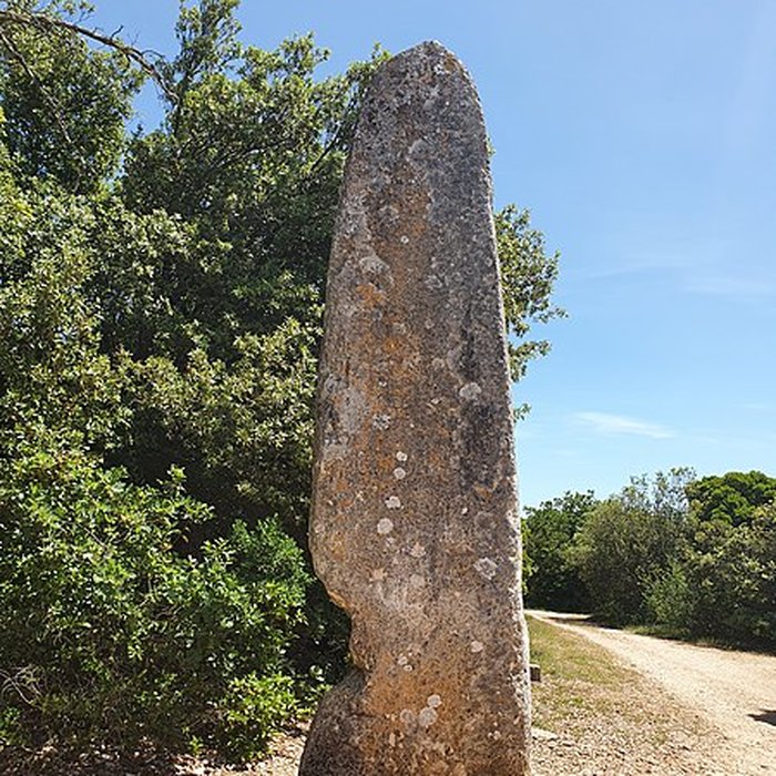Photo de Menhir de la Lèque à Lussan