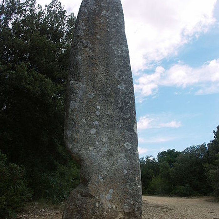 Photo de Menhir de la Lèque à Lussan