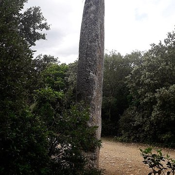 Menhir de la Lèque à Lussan