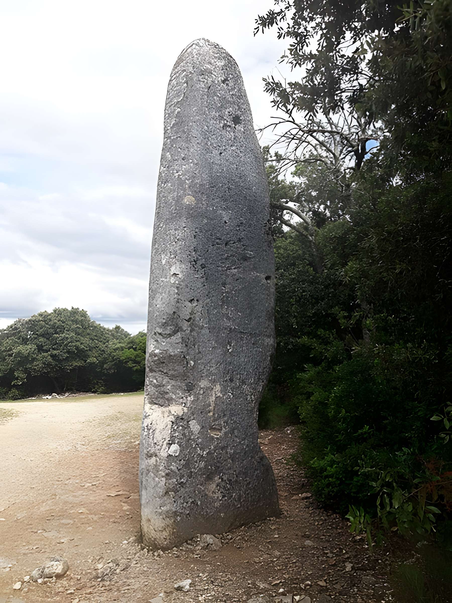 Menhir de la Lèque à Lussan