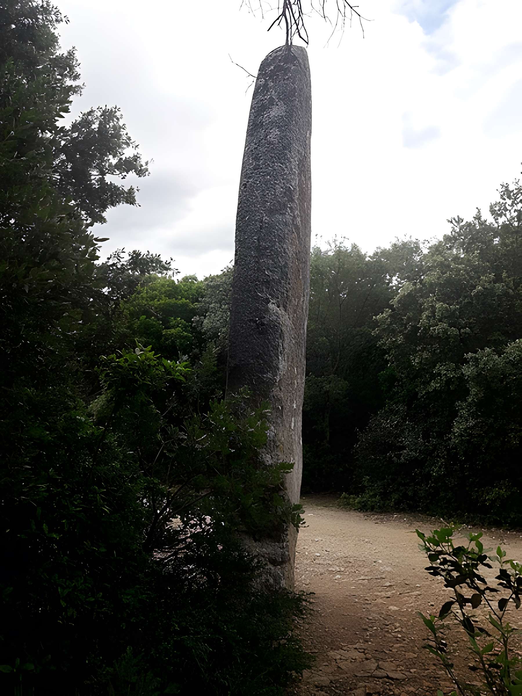 Menhir de la Lèque à Lussan