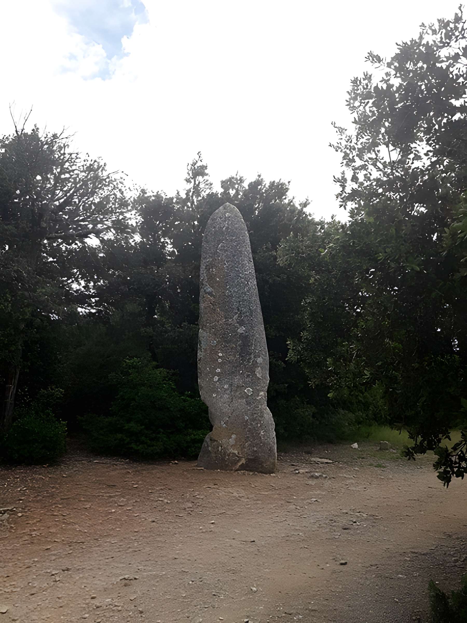 Menhir de la Lèque à Lussan