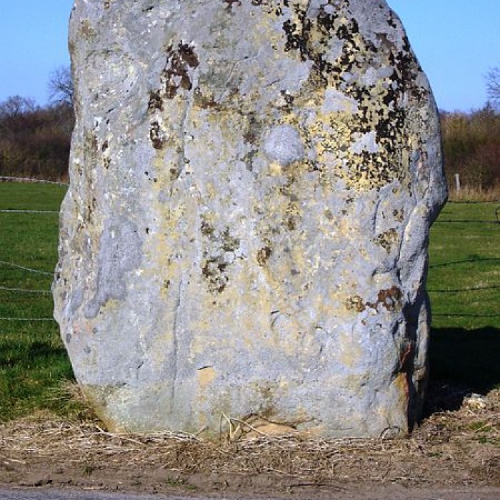 Photo de Menhir de la Longue-Pierre à Landepéreuse